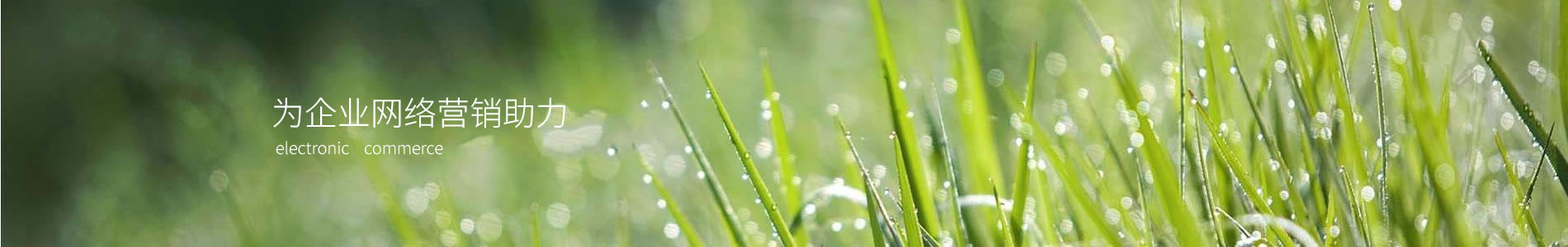 Ϻʥҵչ޹˾